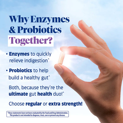 Digest Gold Everyday Digestion Regular Strength